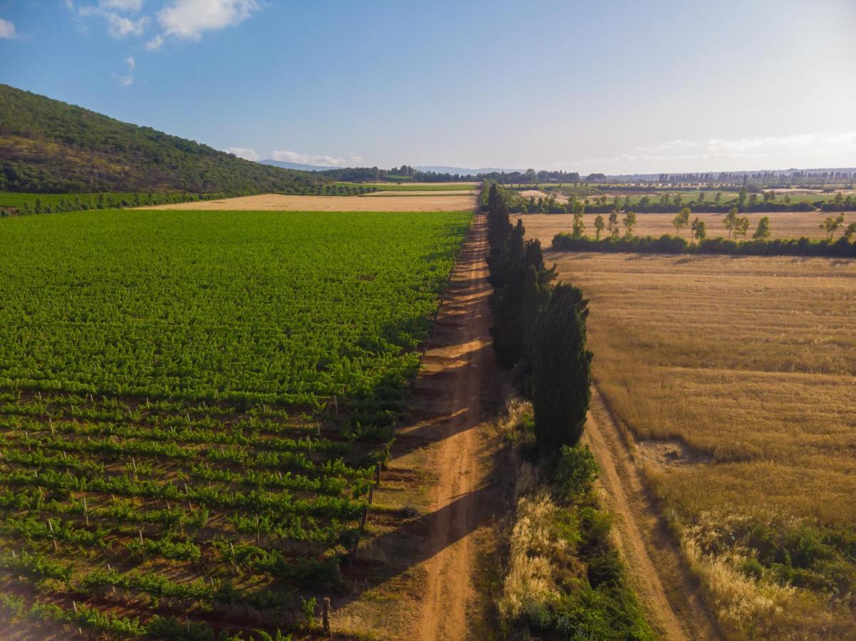 Antica Fattoria La Parrina Villa Orbetello Exteriör bild