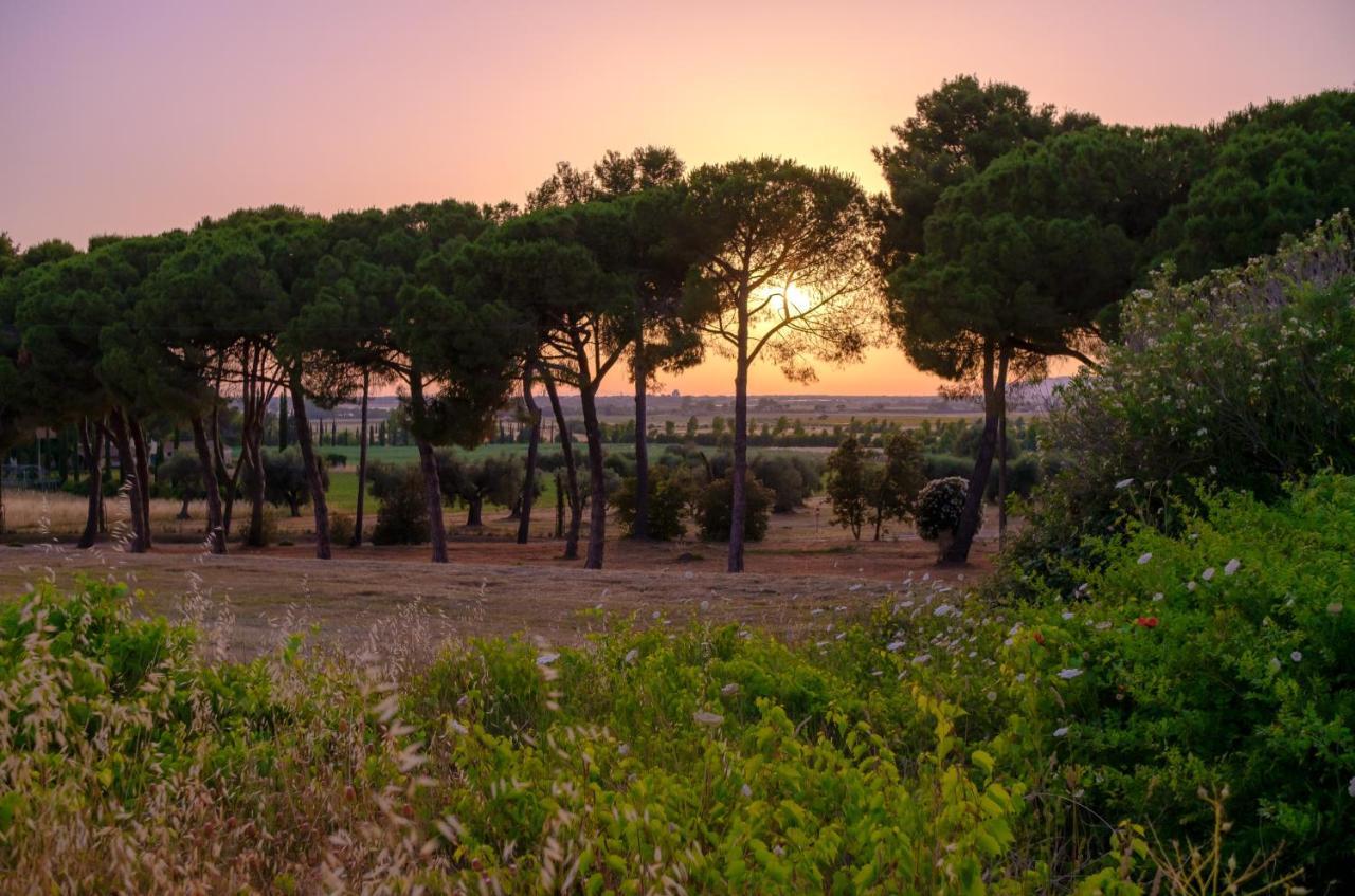 Antica Fattoria La Parrina Villa Orbetello Exteriör bild